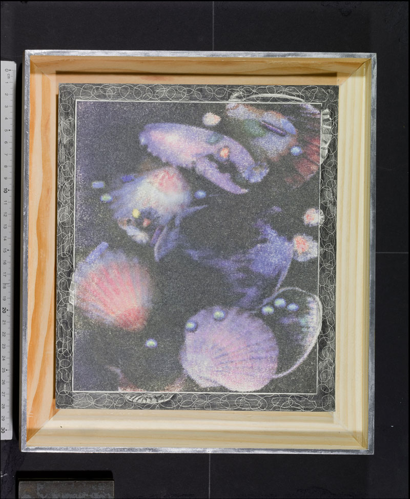 Habiter sous les reflets